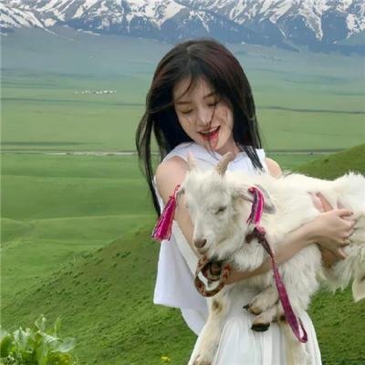 飞吧，冰上之光